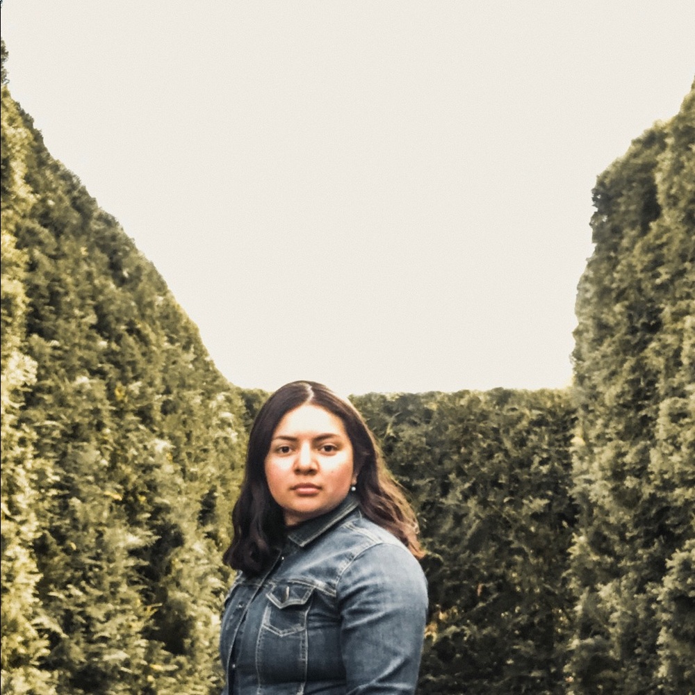 Introduction |  My name is Brenda